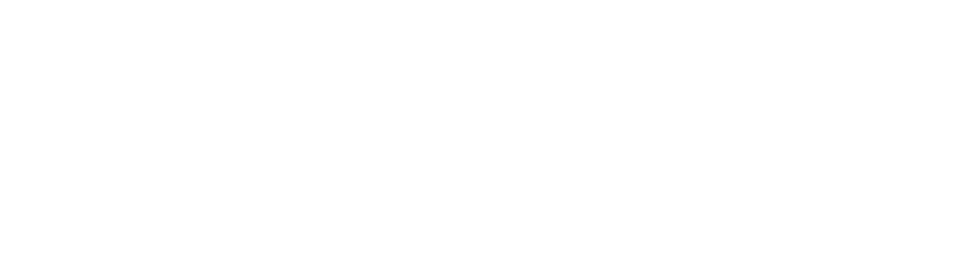 flixpartner white logo